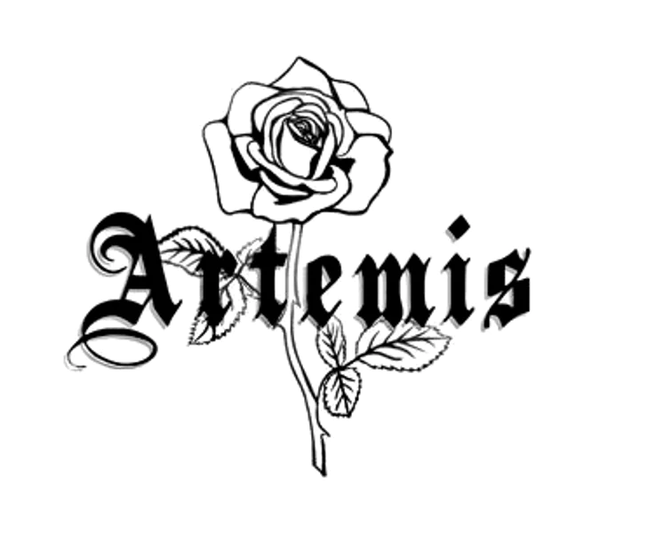 Artemis Accessories Coupon Code